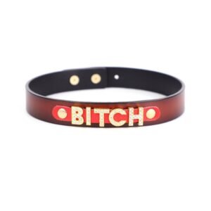 Sex sm props high-grade genuine leather collar with diamond letters sexy traction collar alternative choker adult products - Orange collar with gold letters