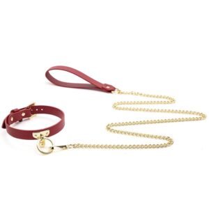 sm props pu leather sexy traction collar sm training bitch neck collar T-shaped sexy collar alternative adult products - Red