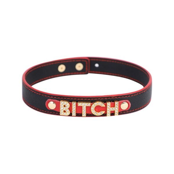 Alternative adult products sexy letter collar female slave SM training props neck collar sexy choker - BITCH ( Gold)