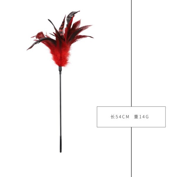 sm sex toys teasing flirting chicken feather patting sm props sexy feather patting loose whip alternative adult products - Red chicken feather stick