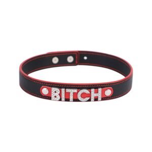 Alternative adult products sexy letter collar female slave SM training props neck collar sexy choker - BITCH ( Silver)