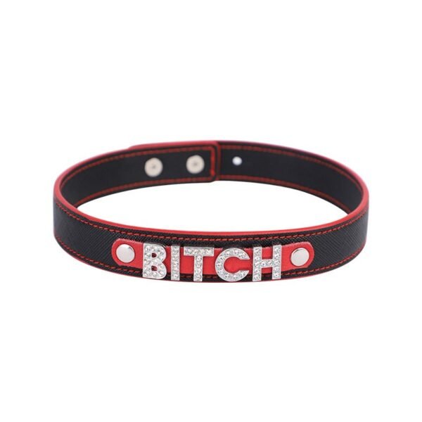 Alternative adult products sexy letter collar female slave SM training props neck collar sexy choker - BITCH ( Silver)