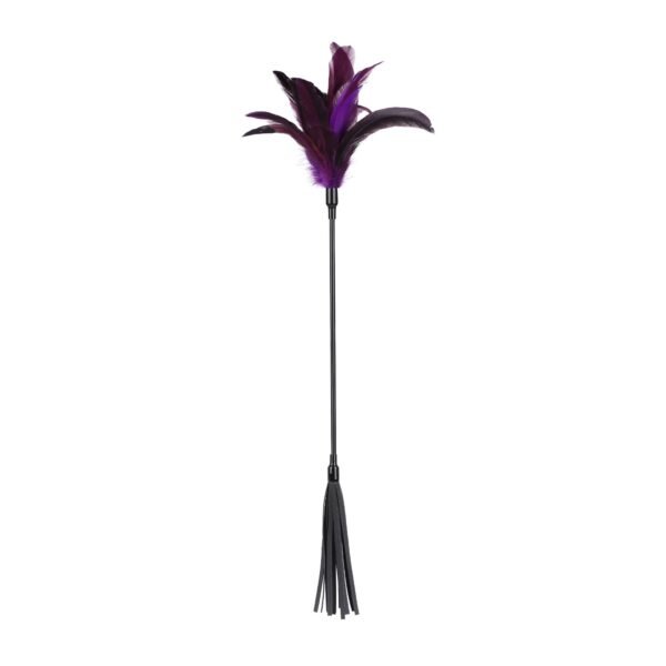 sm sex toys teasing flirting chicken feather patting sm props sexy feather patting loose whip alternative adult products - Purple chicken feather tassel whip