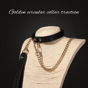 Sexy sm props high-end sexy traction collar sm training restraint neck collar neck ring alternative adult products - Gold ring collar