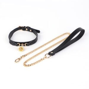 Sex toys, bells, collars, women's wear, couples, flirting and teasing props, adult toys - Black Collar Chain