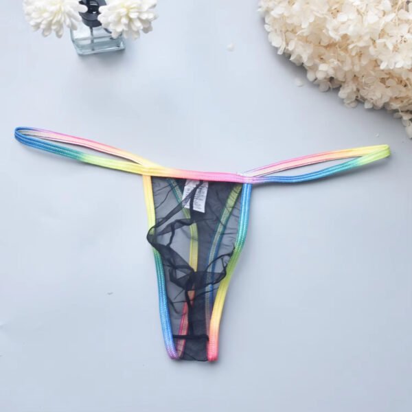 Passionate Men's Sexy Low Waist Transparent Sultry Temptation Men's High Elastic Mesh Gay Underwear - Image 4