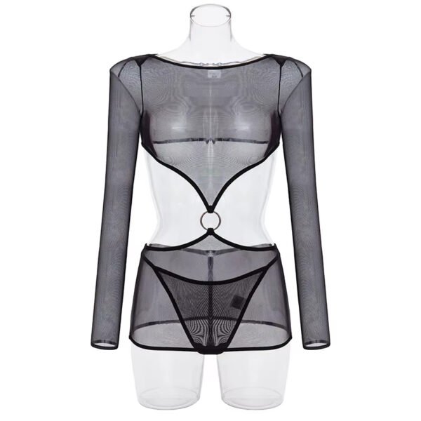 New Arrival Summer Comfortable Long Sleeve Transparent Mesh Lingerie Set 2 Pieces Sexy Women Lingerie Set - Image 4
