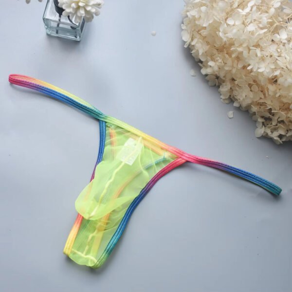Passionate Men's Sexy Low Waist Transparent Sultry Temptation Men's High Elastic Mesh Gay Underwear - Image 2
