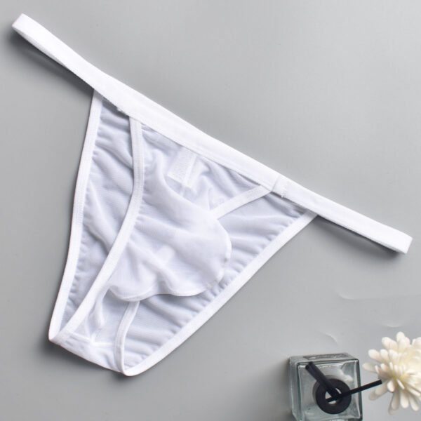 Wholesale Europe and the United States sexy low waisted men's triangle pants breathable erotic panties