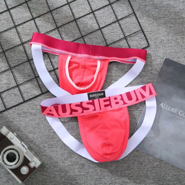 Men's Low Waisted Underwear Pure Cotton Seamless Raised Buttocks U-shaped Men Thong - Image 5