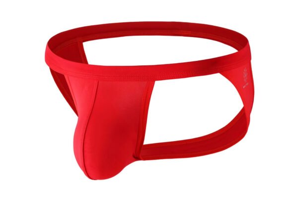 New Style Brave Person Nylon Sexy Underwear Backless Jockstrap for Men - Image 4