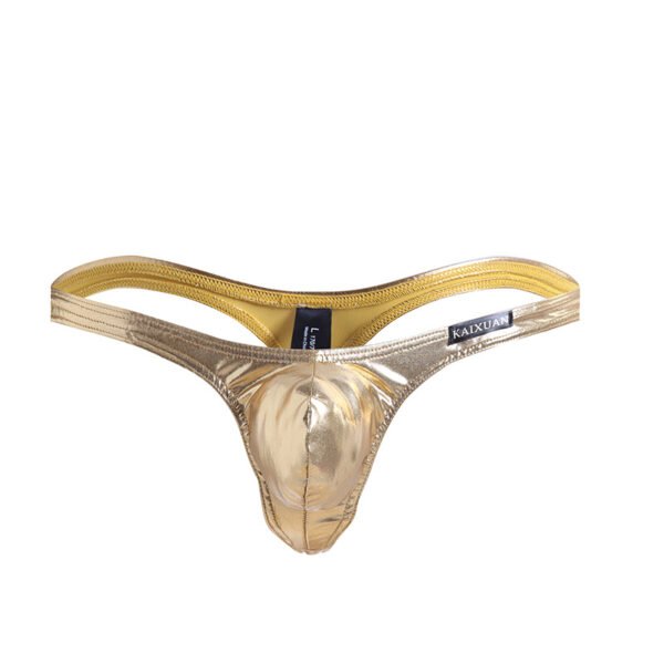 Erotic Faux Leather T Pants Low Waist Sexy U Cam Panties Men's Thong Slutty Male Panties - Image 3