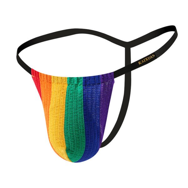 Youth Men's Thong Sexy Erotic Large Pouch Thong Knitted Single Thongs