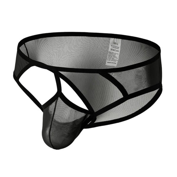 Men's Underwear Men Comfortable Breathable Mesh Sexy Triangle Pants - Image 5