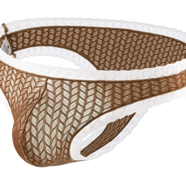 Men's sexy erotic thong men's high elastic low waist men's panties men's erotic thongs - Image 7