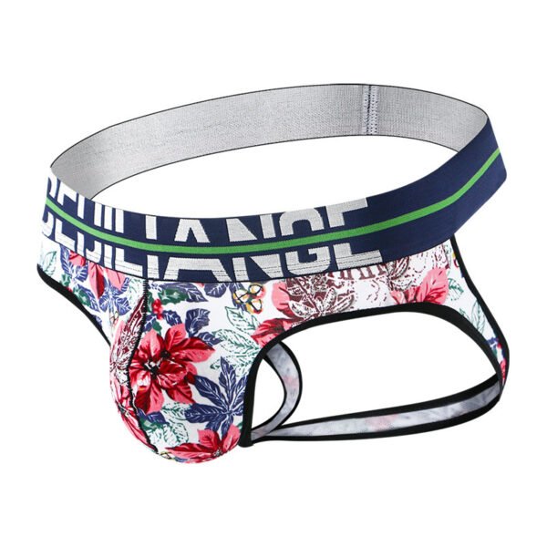 Printed new trend men's erotic thong men's low waist cotton breathable double thong male