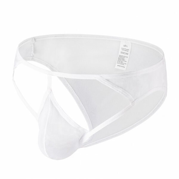 Men's Underwear Men Comfortable Breathable Mesh Sexy Triangle Pants - Image 3