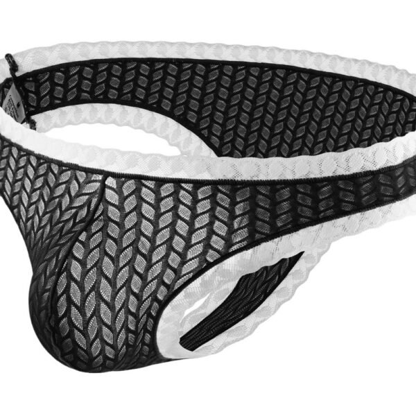 Men's sexy erotic thong men's high elastic low waist men's panties men's erotic thongs - Image 6