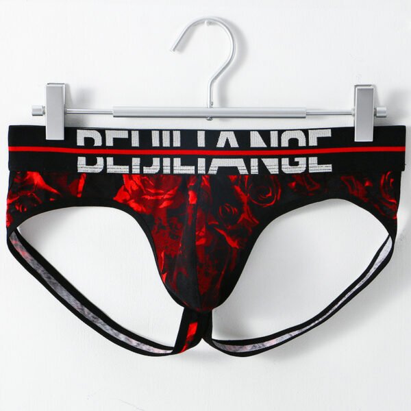 Printed new trend men's erotic thong men's low waist cotton breathable double thong male - Image 4