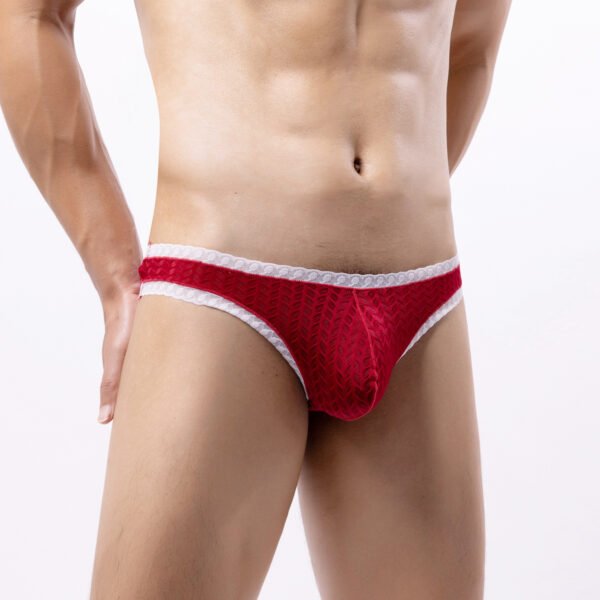 Men's sexy erotic thong men's high elastic low waist men's panties men's erotic thongs