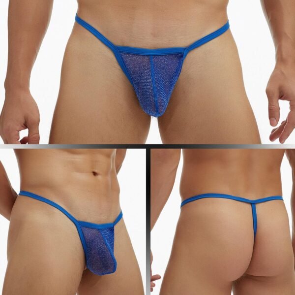 GAY Men's Underwear Fine Mesh Low Waisted Single Thong T Pants Plus Size - Image 7
