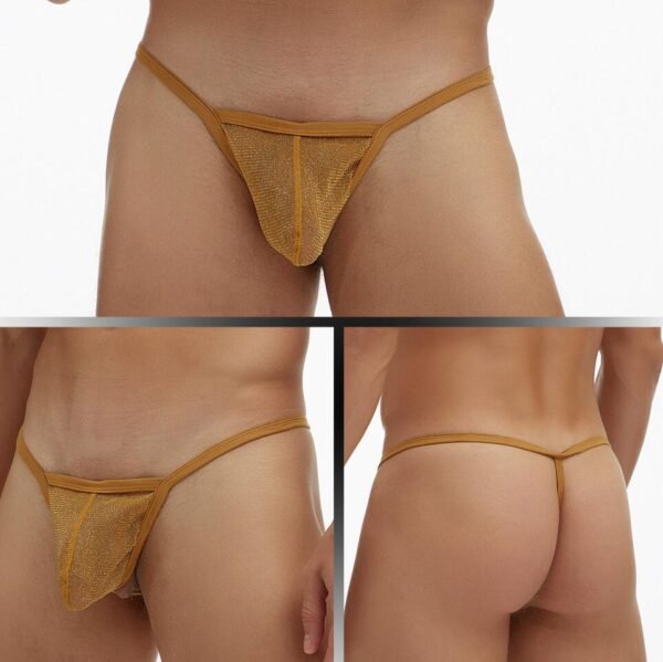 GAY Men's Underwear Fine Mesh Low Waisted Single Thong T Pants Plus Size - Image 6