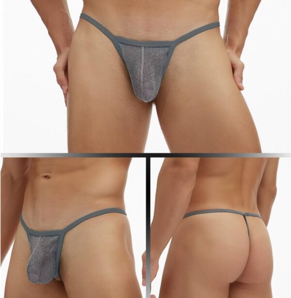 GAY Men's Underwear Fine Mesh Low Waisted Single Thong T Pants Plus Size - Image 5