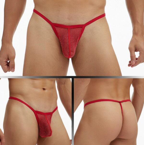 GAY Men's Underwear Fine Mesh Low Waisted Single Thong T Pants Plus Size - Image 4