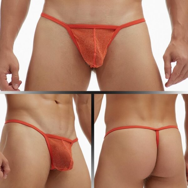 GAY Men's Underwear Fine Mesh Low Waisted Single Thong T Pants Plus Size - Image 2