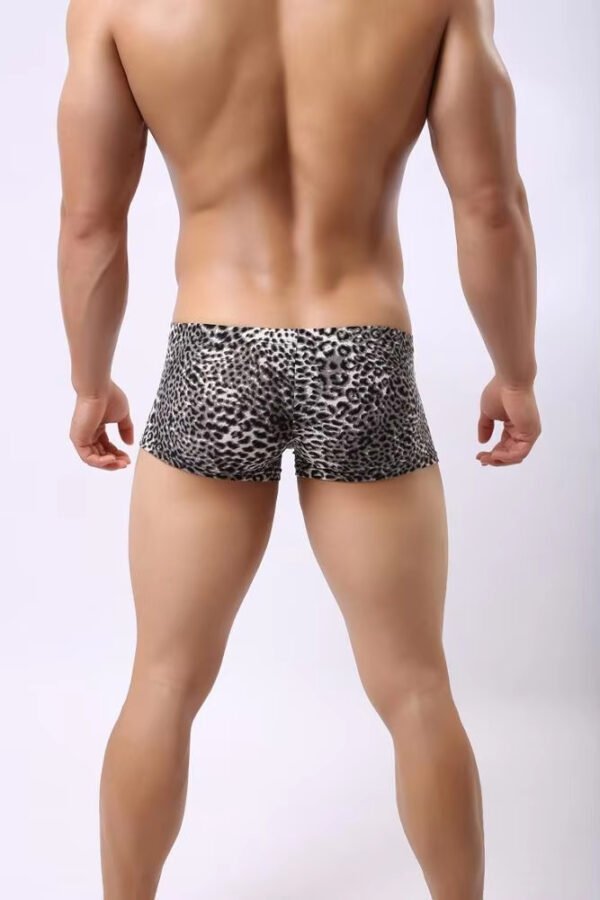 Sexy Men's Low Waist Bamboo Thong Leopard Underwear Boxer Man Panties - Image 5