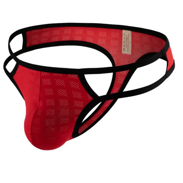 Men's T-back Underwear Mesh Side Waist Hollow Design Youth Men's T-back Sexy Underwear - Image 5