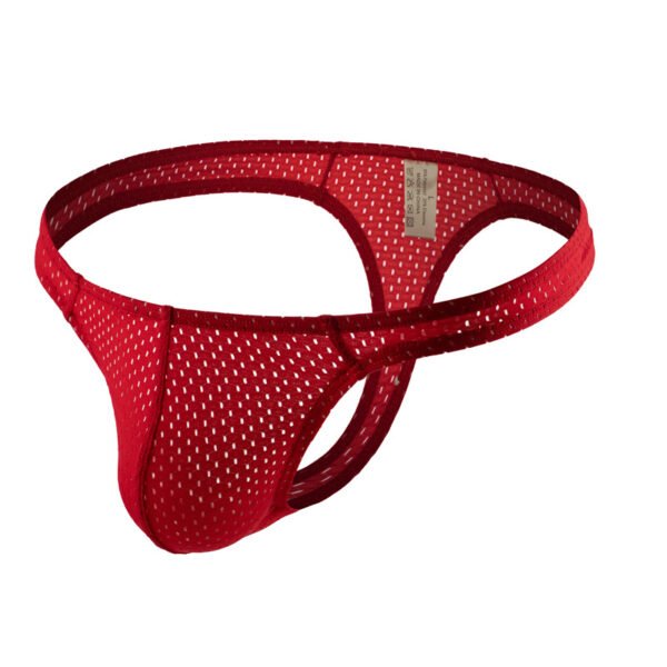 Western Hot Sale Men's Underwear Low Waist Breathable Men Underwear Seamless Sexy T Pants Thong - Image 5