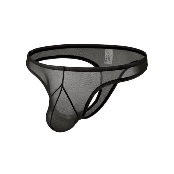 Men's T-back Briefs Ice Silk Slightly Transparent Low-Rise Sexy Bikini T-back Youth U-convex - Image 3